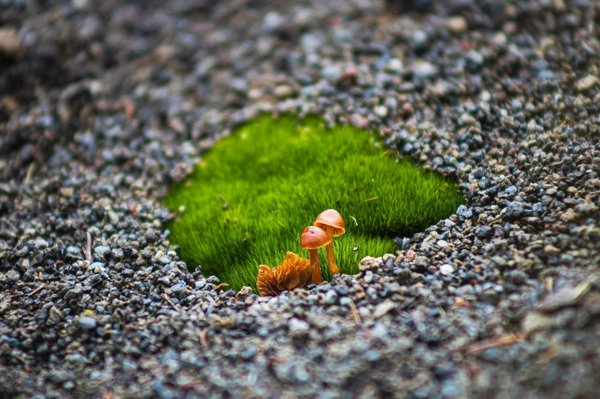 What Are the Best Practices for Small Businesses to Manage Global Remote Teams Effectively?